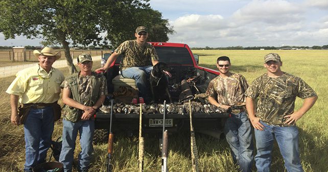 Dove Hunting Texas – Google Ads