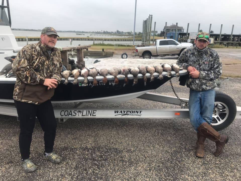 Dove Hunting Texas