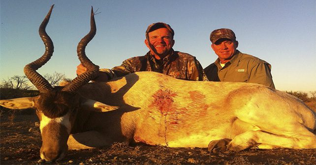 Addax Hunting in Texas