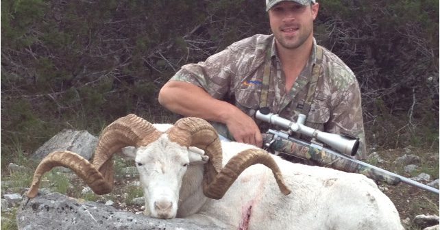 Texas Dall Sheep Hunting