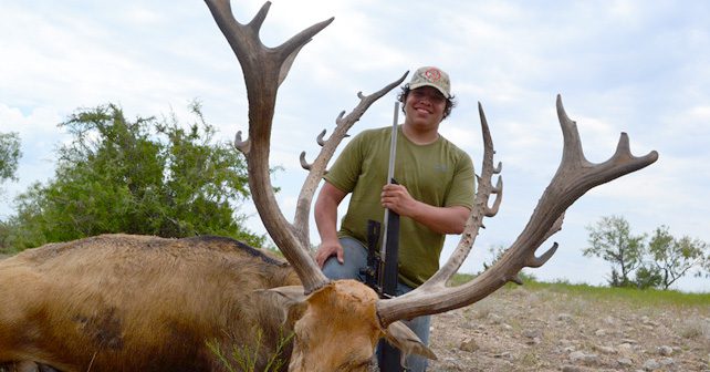 Père David’s Deer Hunting