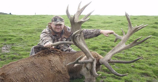 Red Stag Hunts in Texas