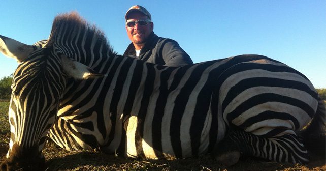 Texas Zebra Hunts